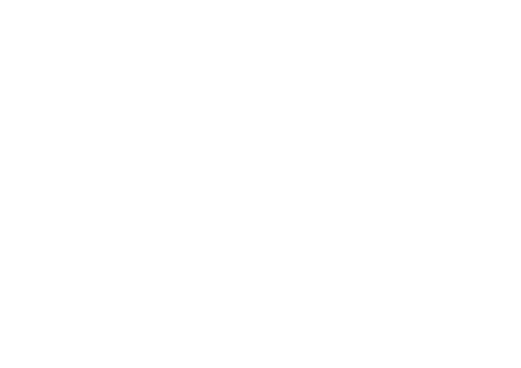 logo foot perfect