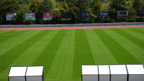L’Omnisports accueille Le Mans FC et La Roche VF